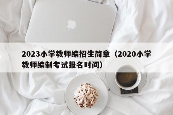 2023小学教师编招生简章（2020小学教师编制考试报名时间）